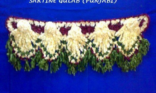 Satin Gulab Paunjabi