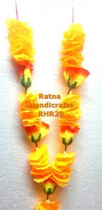 RHR29